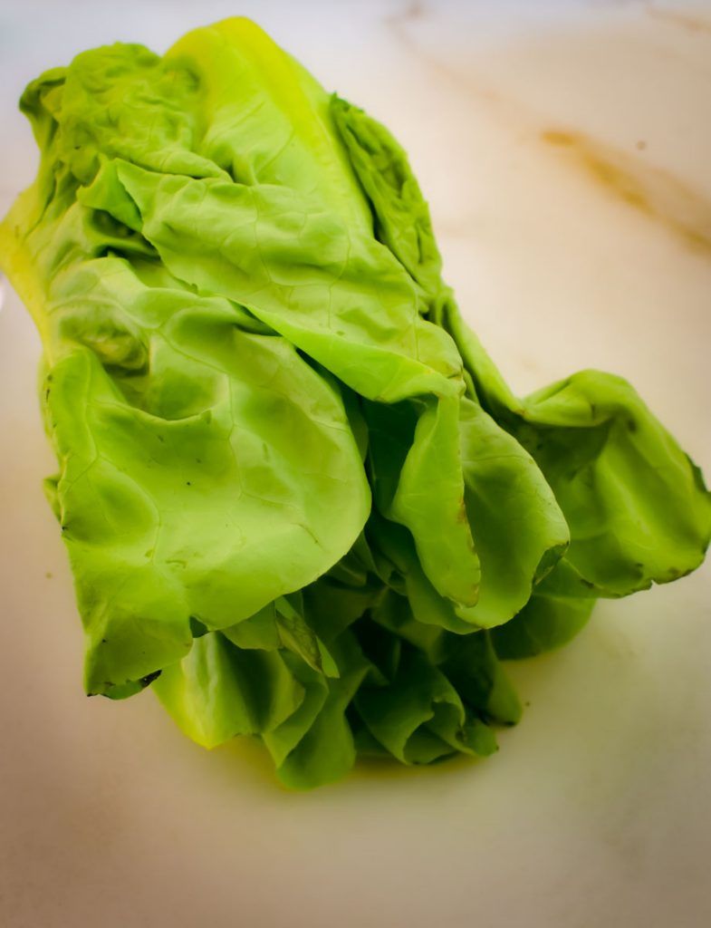Lechuga Francesa.